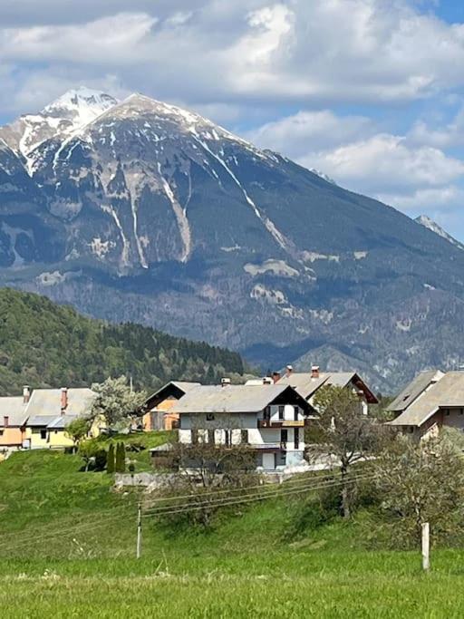 Mountain Vista Apartment Блед Екстериор снимка